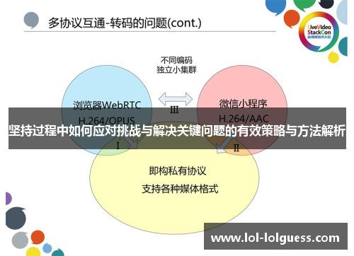 坚持过程中如何应对挑战与解决关键问题的有效策略与方法解析